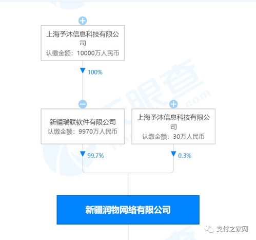 支付牌照再易主，網(wǎng)絡(luò)技術(shù)服務(wù)成新賽道